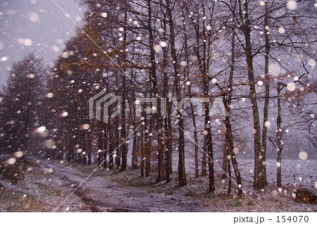 冬のソナタ 雪の写真素材