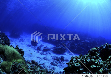 岩 砂 海底 岩礁の写真素材