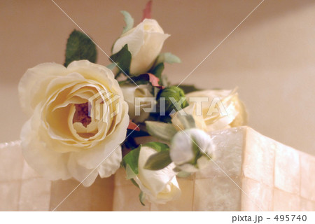 白い薔薇の写真素材