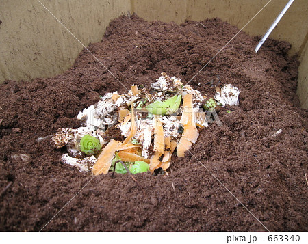 野菜 くず 肥料 生ゴミで堆肥作り 家庭で出る生ごみで花や野菜の堆肥を作ってみました