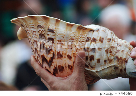 法螺貝 ホラ貝 祭り 松阪市の写真素材