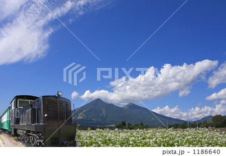 沼尻軽便鉄道の写真素材 - PIXTA