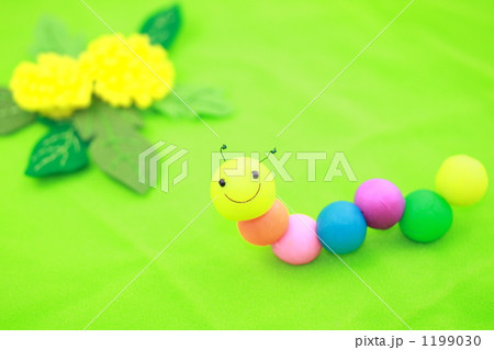 いもむし 文字スペース あおむし 芋虫の写真素材