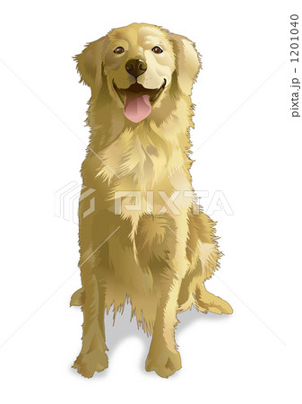 ゴールデンレトリーバー ドッグ Dog 犬のイラスト素材