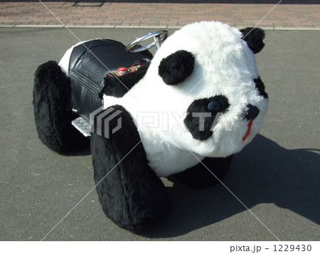 パンダライドの写真素材