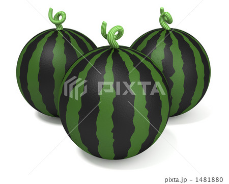 水瓜 スイカ 果物的野菜 ウリ科のイラスト素材