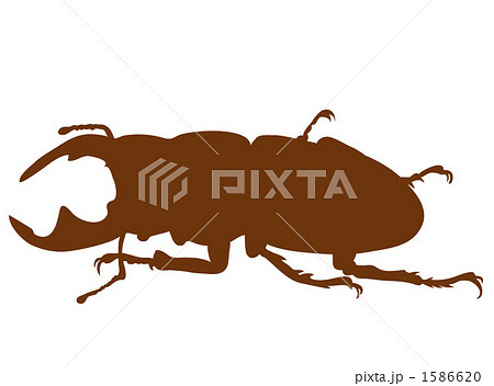 オオクワガタのイラスト素材