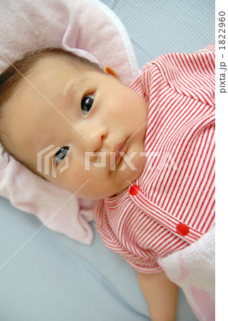 ミルク太りの写真素材