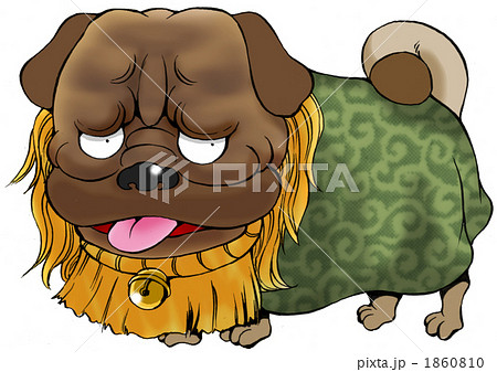土佐犬 闘犬 動物 犬の写真素材