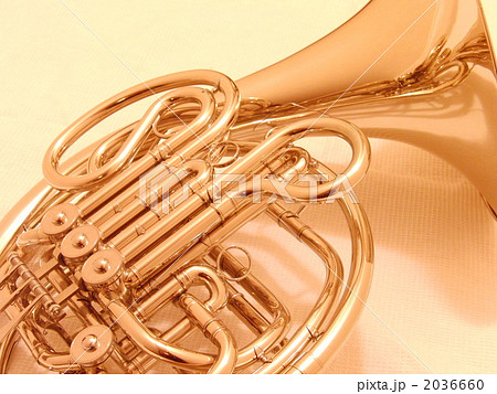 フレンチホルン 金管楽器 ホルン 楽器の写真素材