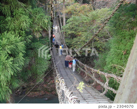 吊り橋 橋 木製 蔦 福井の写真素材