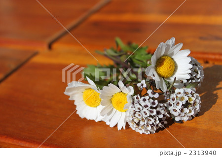 ノースポール スイートアリッサム 花束 ブーケの写真素材 Pixta