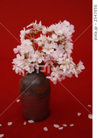 備前焼 生け花 フラワーアレンジメント 花瓶の写真素材 - PIXTA