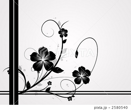 花 つる草 植物 モノクロ 花びら フレーム イラストの写真素材