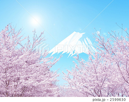 富士 花 富士山 桜のイラスト素材