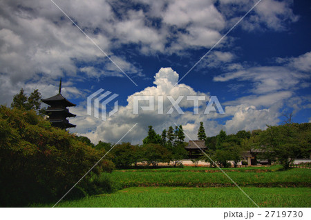 田舎 入道雲 青空 五重塔の写真素材