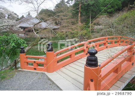 太鼓橋 日本庭園 醍醐寺 風景の写真素材