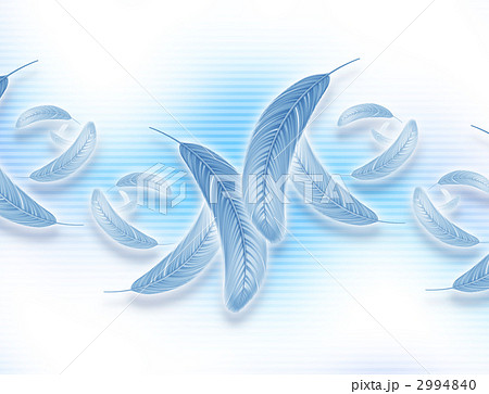 鳥の羽のイラスト素材