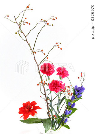 薔薇 花 ガラスの器 生け花の写真素材