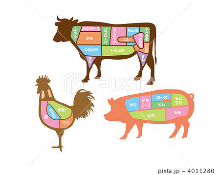 牛 牛肉 部位 図解のイラスト素材