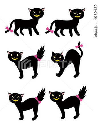 フーッ 黒猫 長いしっぽの写真素材