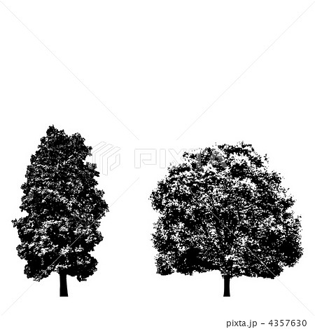 影絵 樹木シルエット 木 立ち木のイラスト素材 Pixta