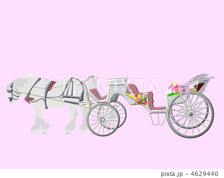 白馬 馬車 乗り物 馬の写真素材