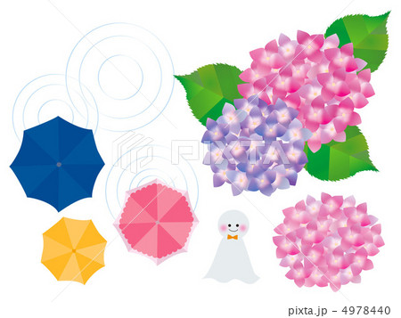 紫陽花 あじさい アジサイ 傘のイラスト素材