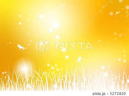 夕景 夕焼け 草原 影のイラスト素材