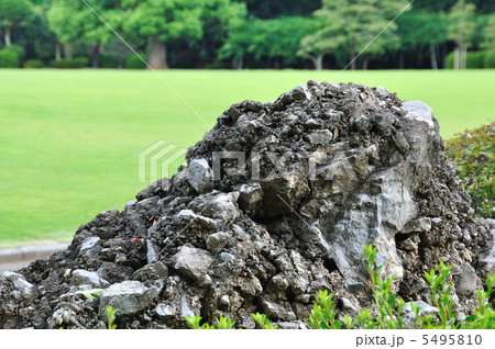 さざれ石（石灰質角礫岩 W27.5cm/D22.3cm/H11.8cm）095 さざれ石（石灰質角礫岩 W27.5cm/D22.3cm/H11.8cm）095 さざれ石 |