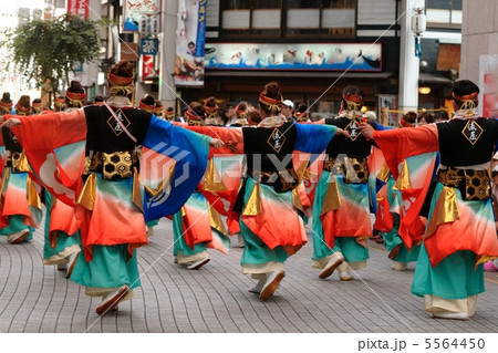 よさこい 耳飾り 髪飾り 衣装の写真素材