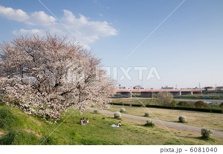 河原 二子玉川 多摩川 土手の写真素材