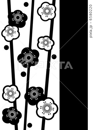 梅 うめ ウメ Umeのイラスト素材
