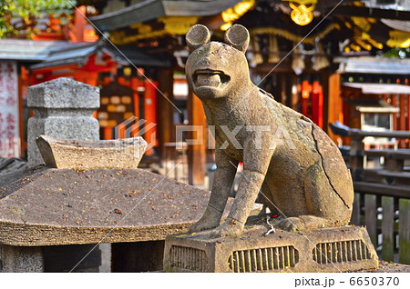 お稲荷さん 狐の像 石像 京都市の写真素材 - PIXTA