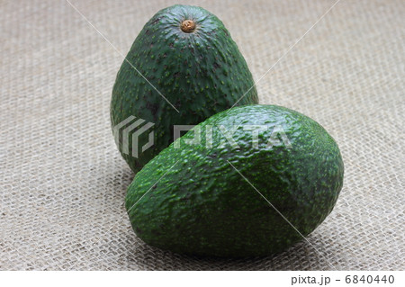 ワニナシ属の写真素材