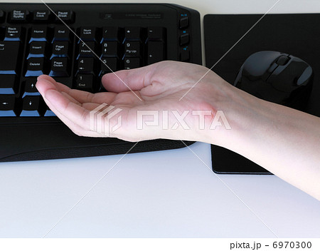 マウスだこ たこ タコ まめ マメの写真素材 マウスだこ たこ タコ まめ マメの写真素材