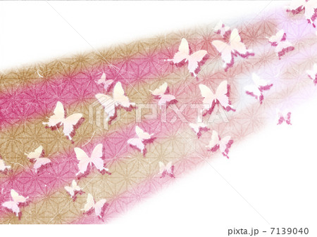 蝶々 シルエット 影 和の写真素材