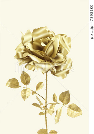 金のバラ no1の写真素材 - PIXTA