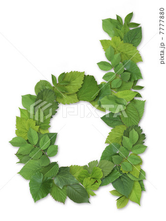 小文字 葉 葉っぱ 英語の写真素材