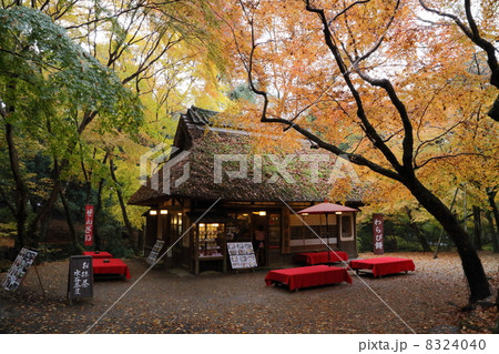 水谷茶屋の写真素材