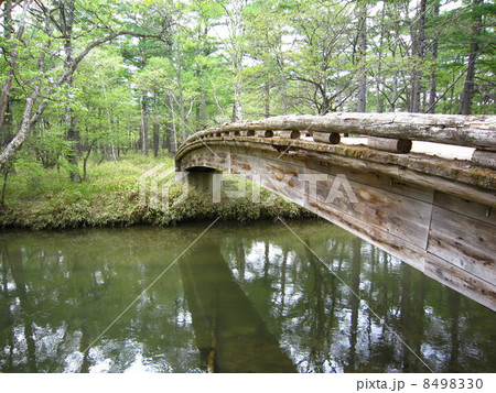 橋 苔むす 木の橋 木橋の写真素材