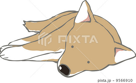 柴犬的向量圖素材集