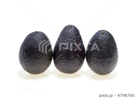 クスノキ科ワニナシ属の写真素材