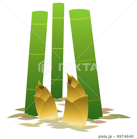 竹 竹林 たけのこ タケノコのイラスト素材