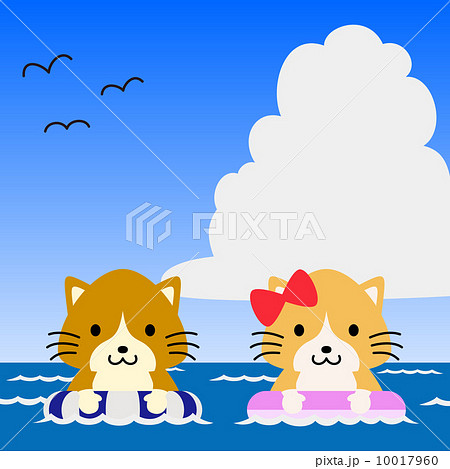 海水浴 海 猫 夏のイラスト素材