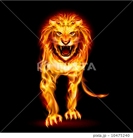 動物 ライオン 火 炎の写真素材 Pixta