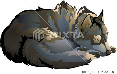 おおかみ オオカミ 寝る 睡眠のイラスト素材 Pixta