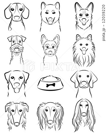 犬 顔 表情 柴犬のイラスト素材