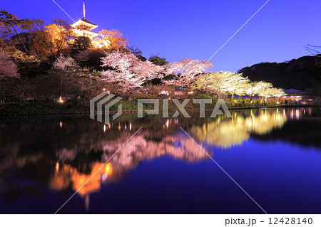 油絵 風景画 神奈川三渓園の枝垂桜【4月】P10