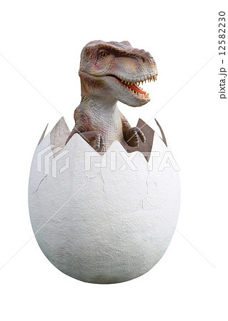 キョーリュー 恐竜卵の写真素材